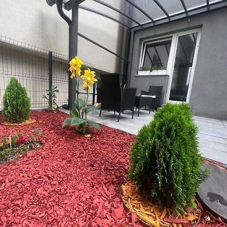 Elena Lux Lägenhet Užice Exteriör bild